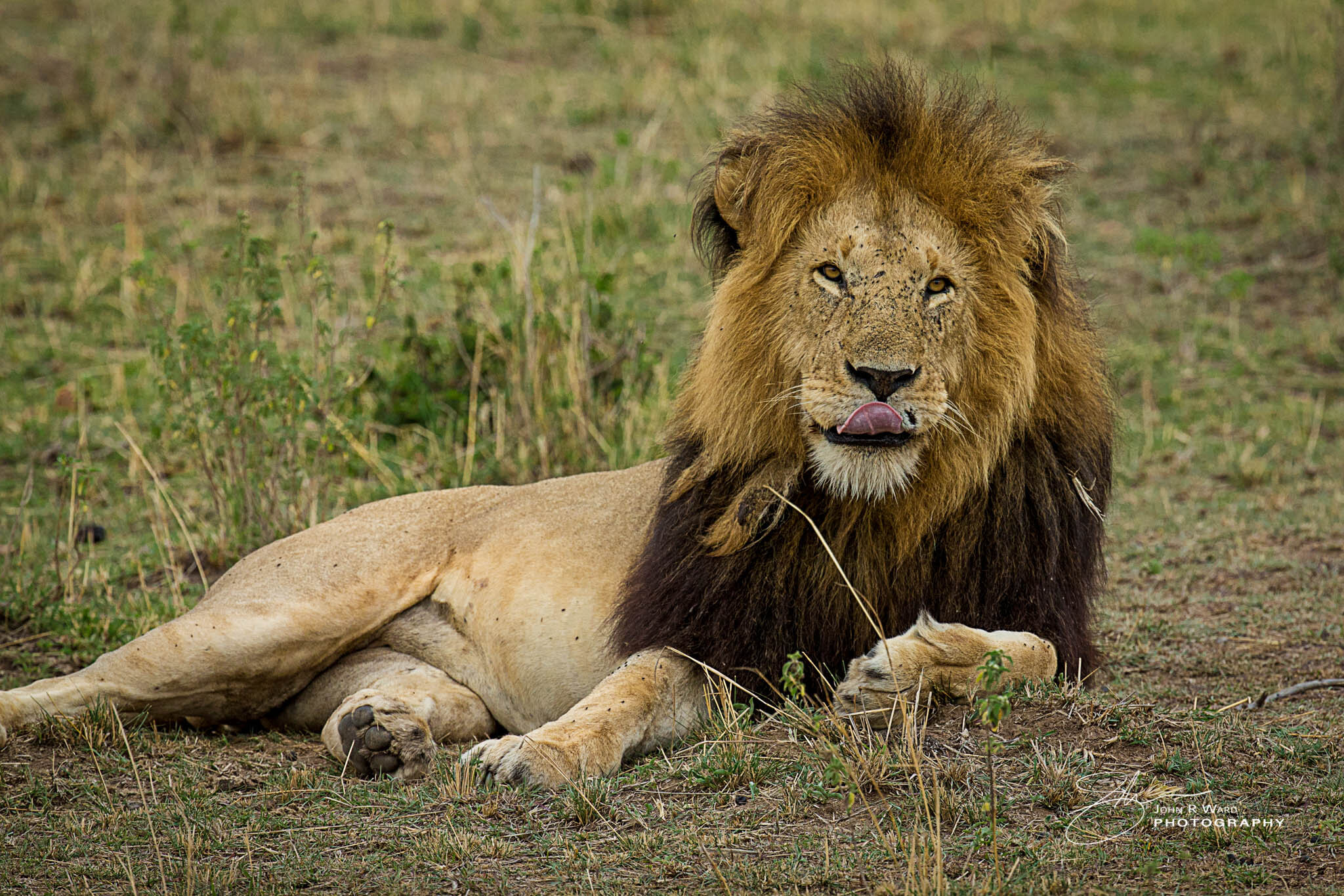 2014 Kenya-482.jpg