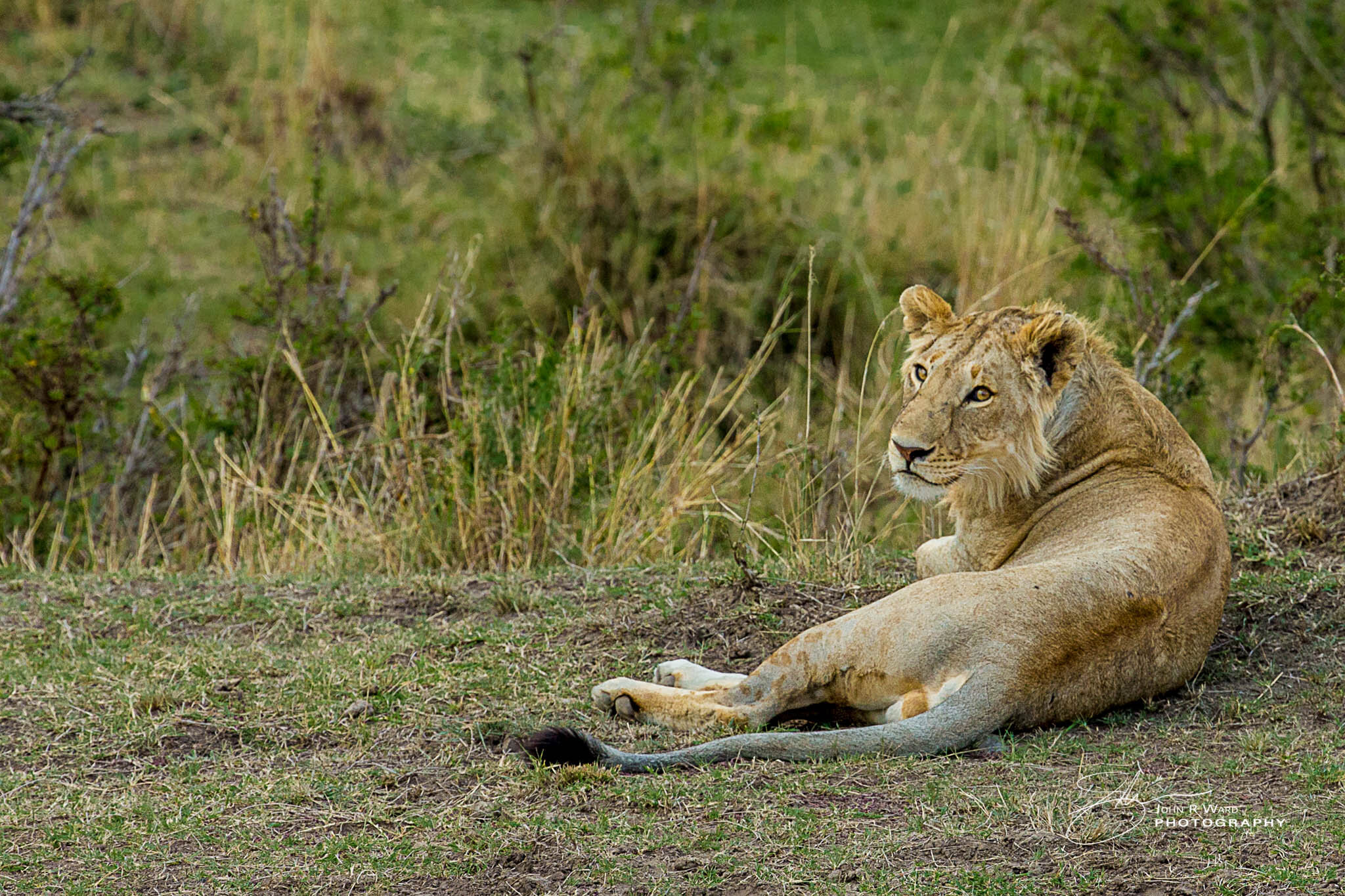 2014 Kenya-536.jpg