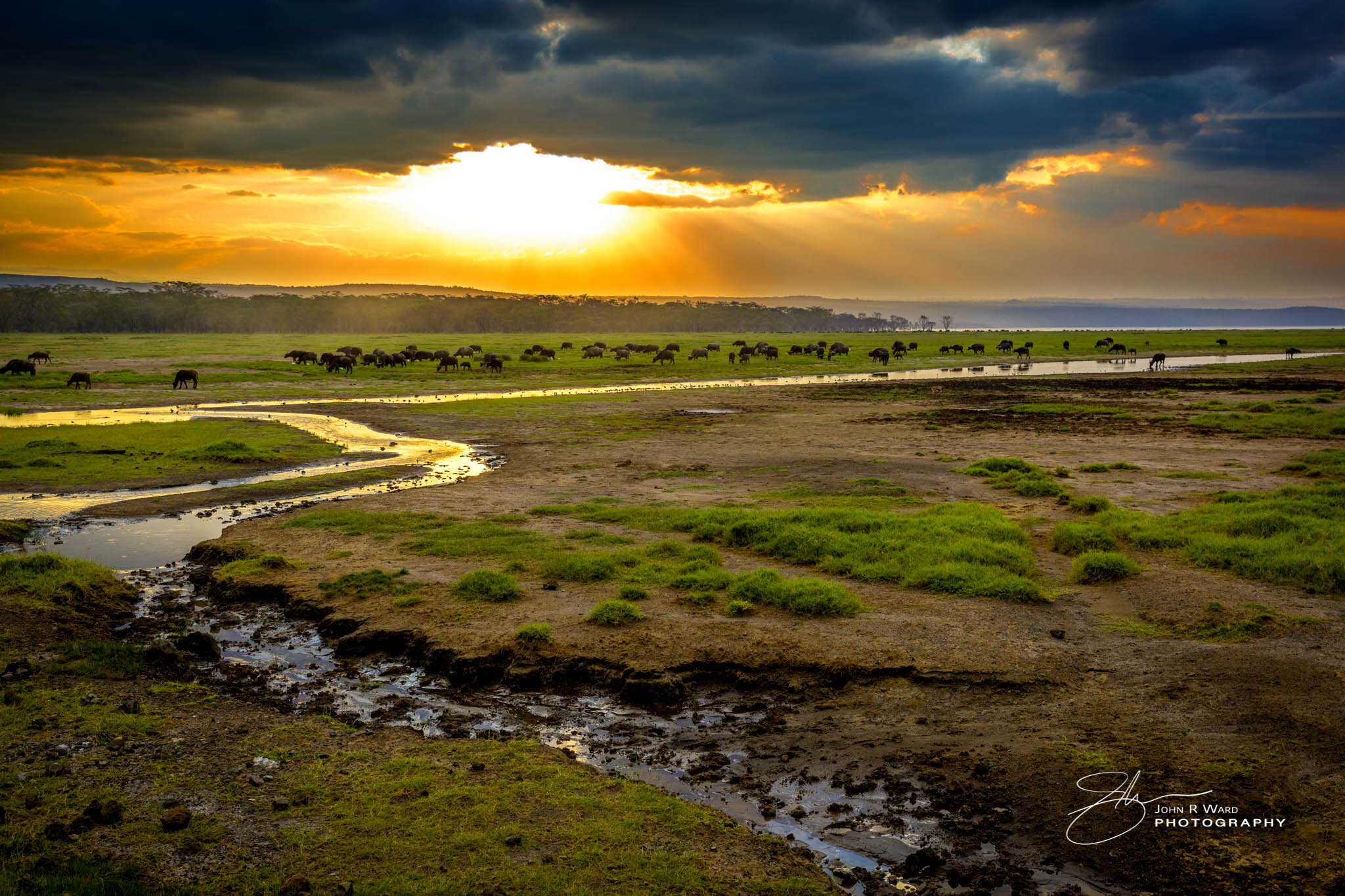 2014 Kenya-547.jpg