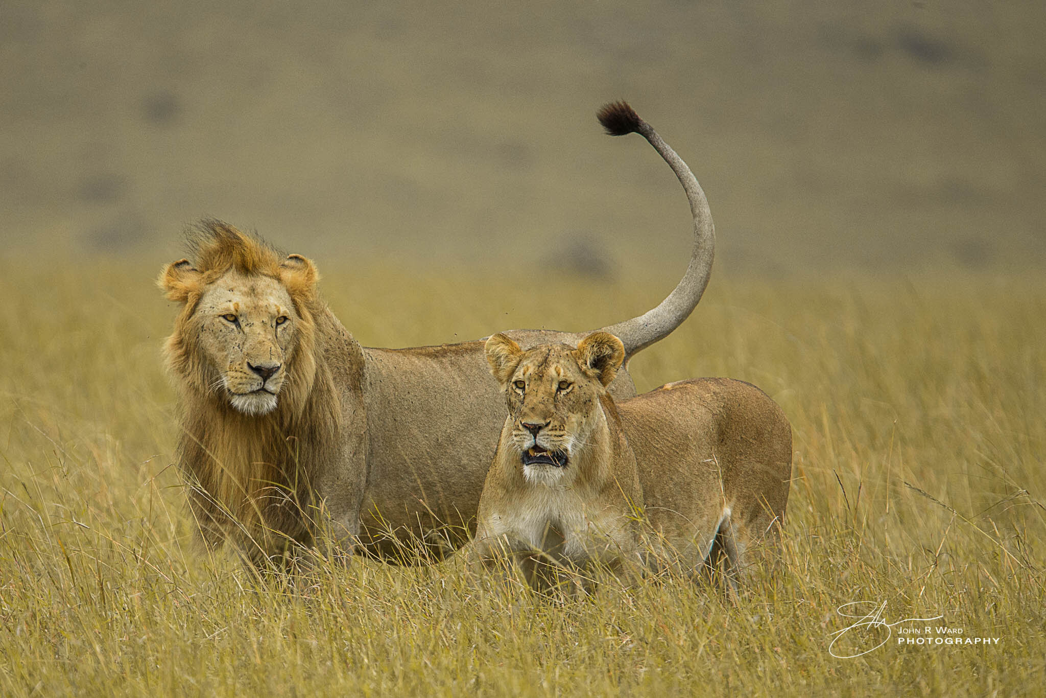 2014 Kenya-554.jpg