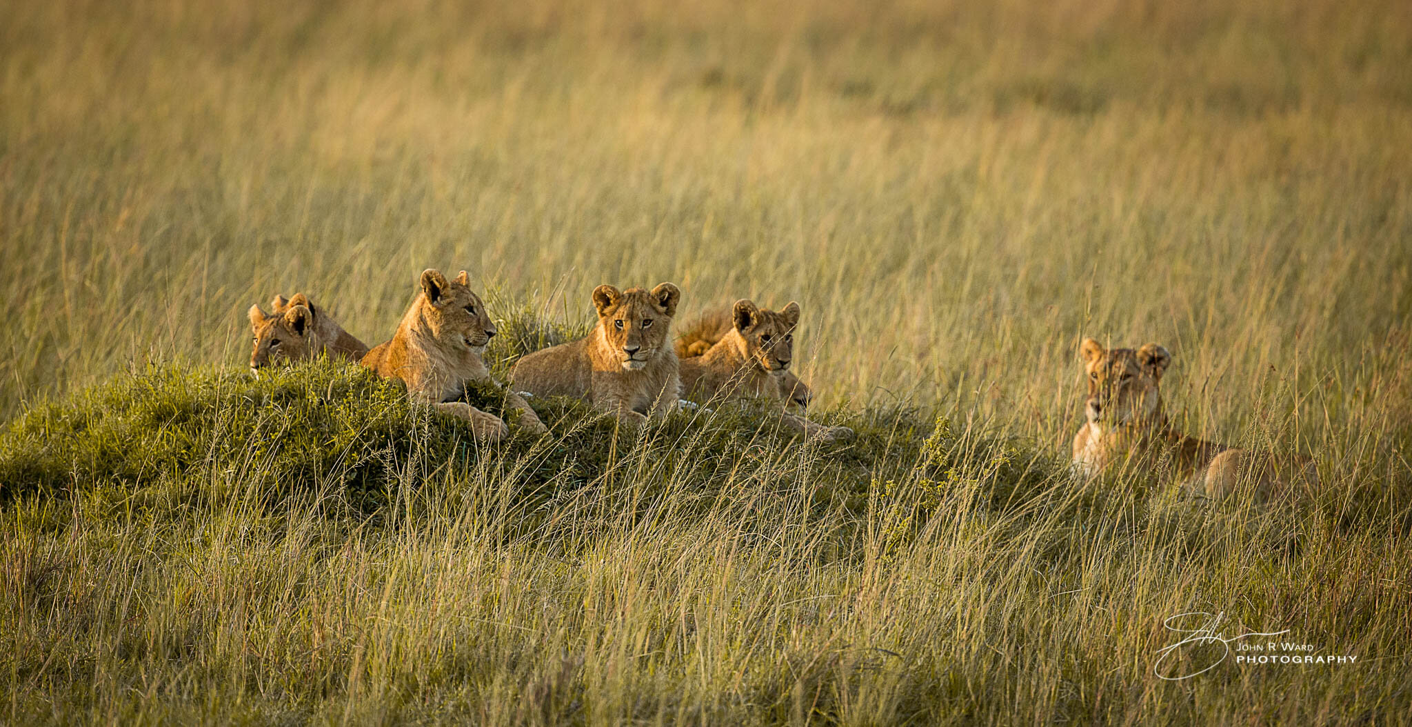 2014 Kenya-610.jpg