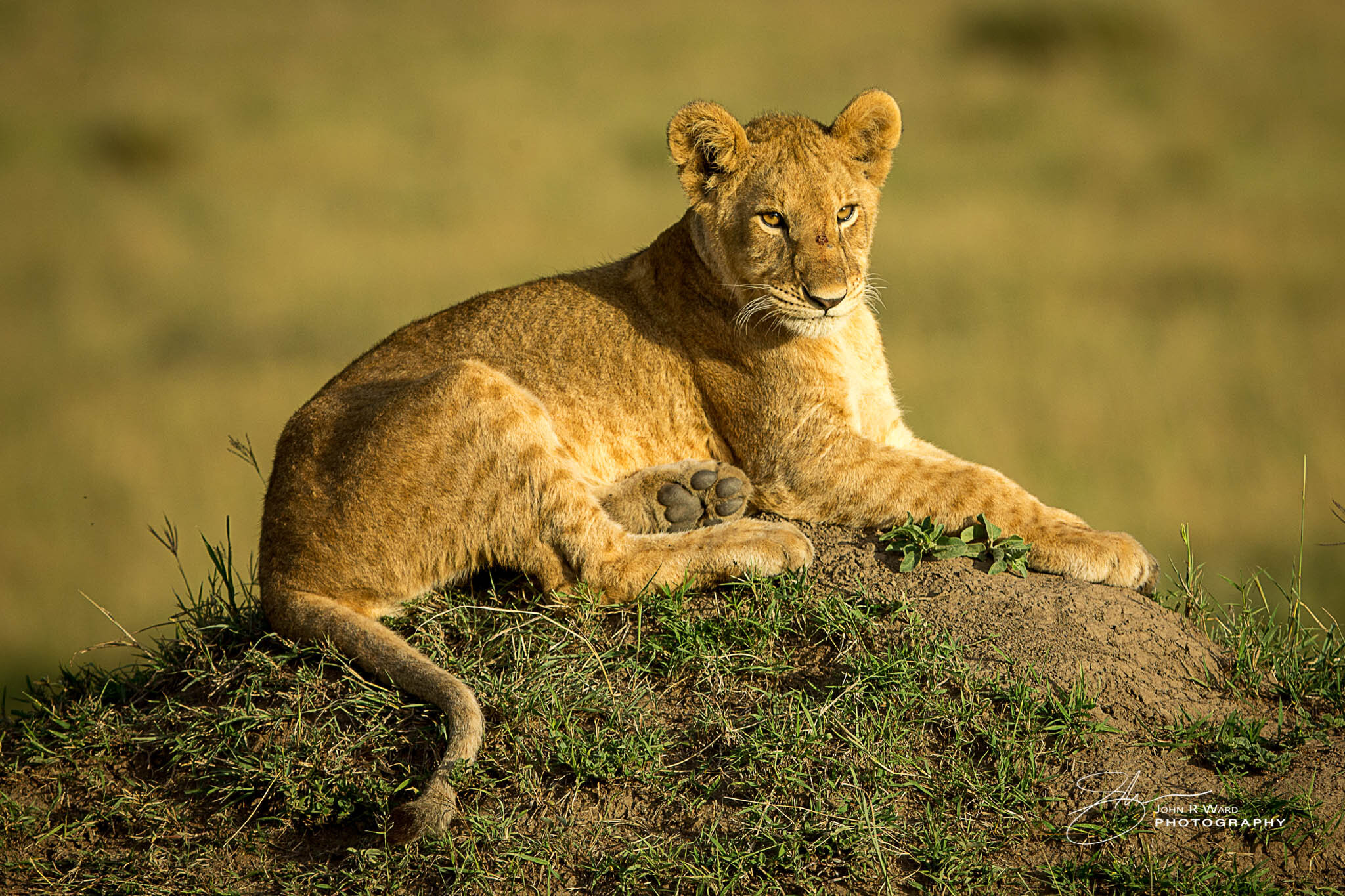 2014 Kenya-611.jpg