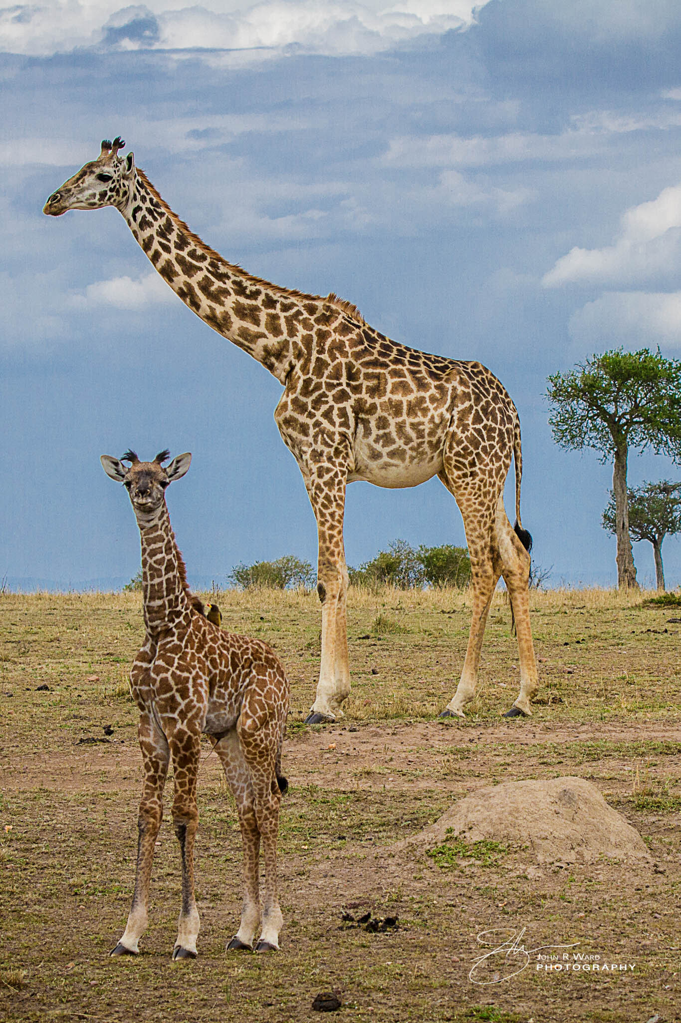 2014 Kenya-619.jpg