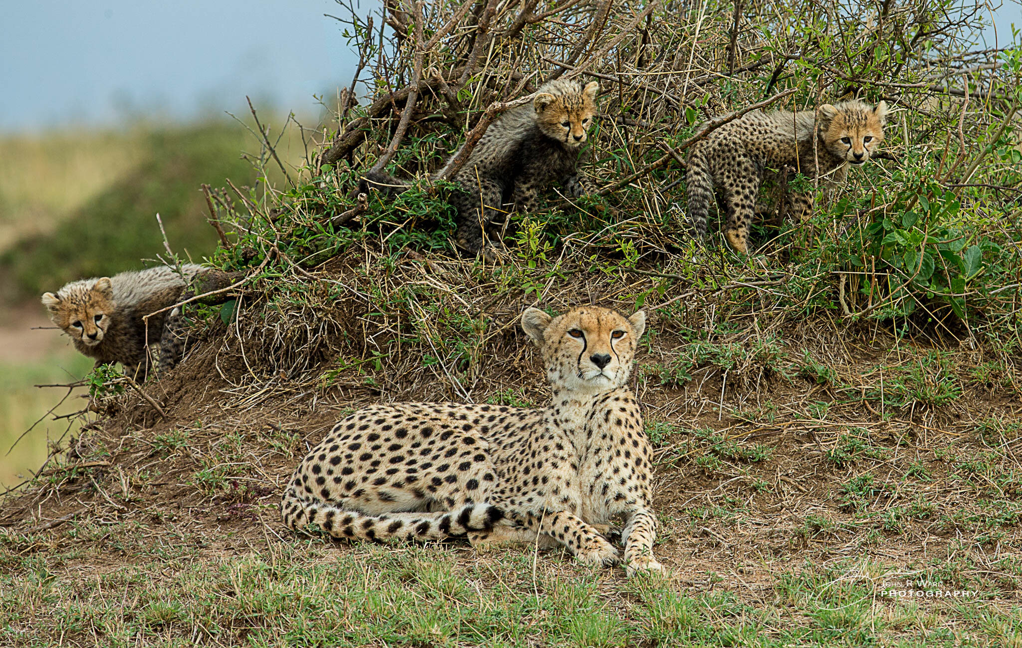 2014 Kenya-625.jpg