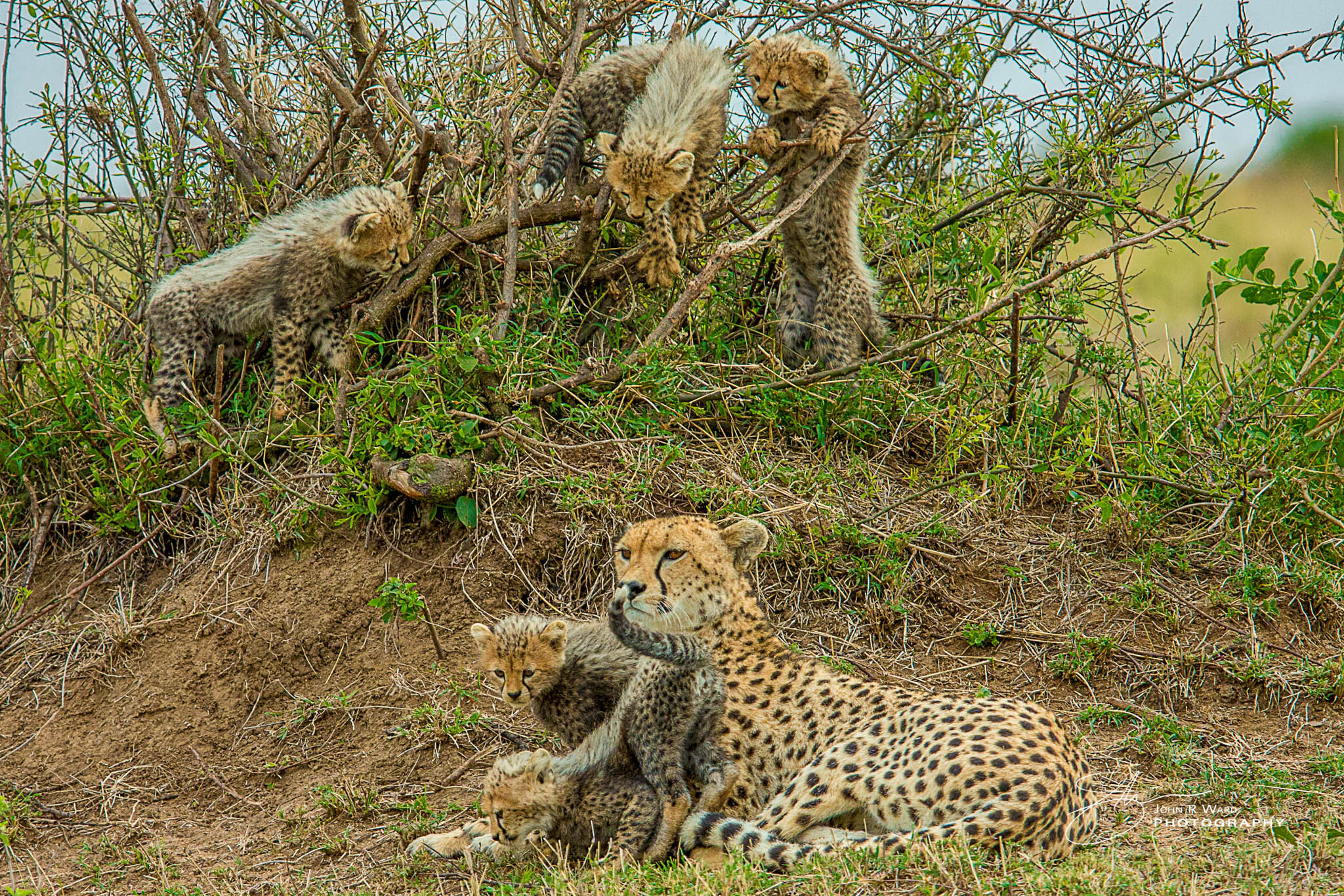 2014 Kenya-627.jpg