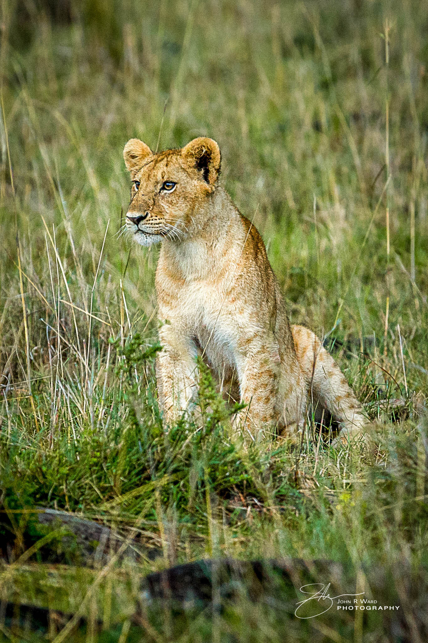 2014 Kenya-646.jpg