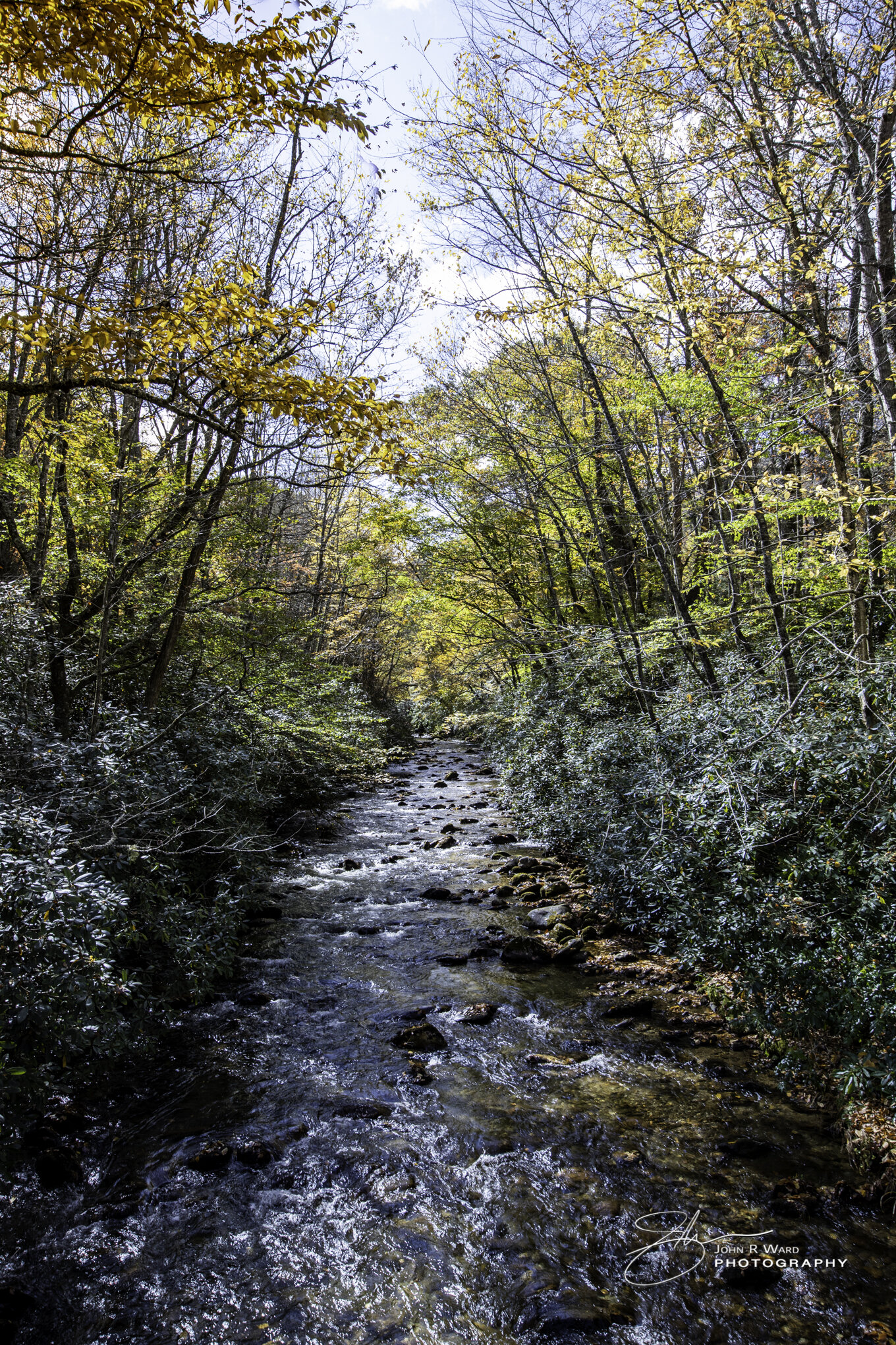 20201022-NC Fall Color-Canon EOS R - 3180-HDR.jpg