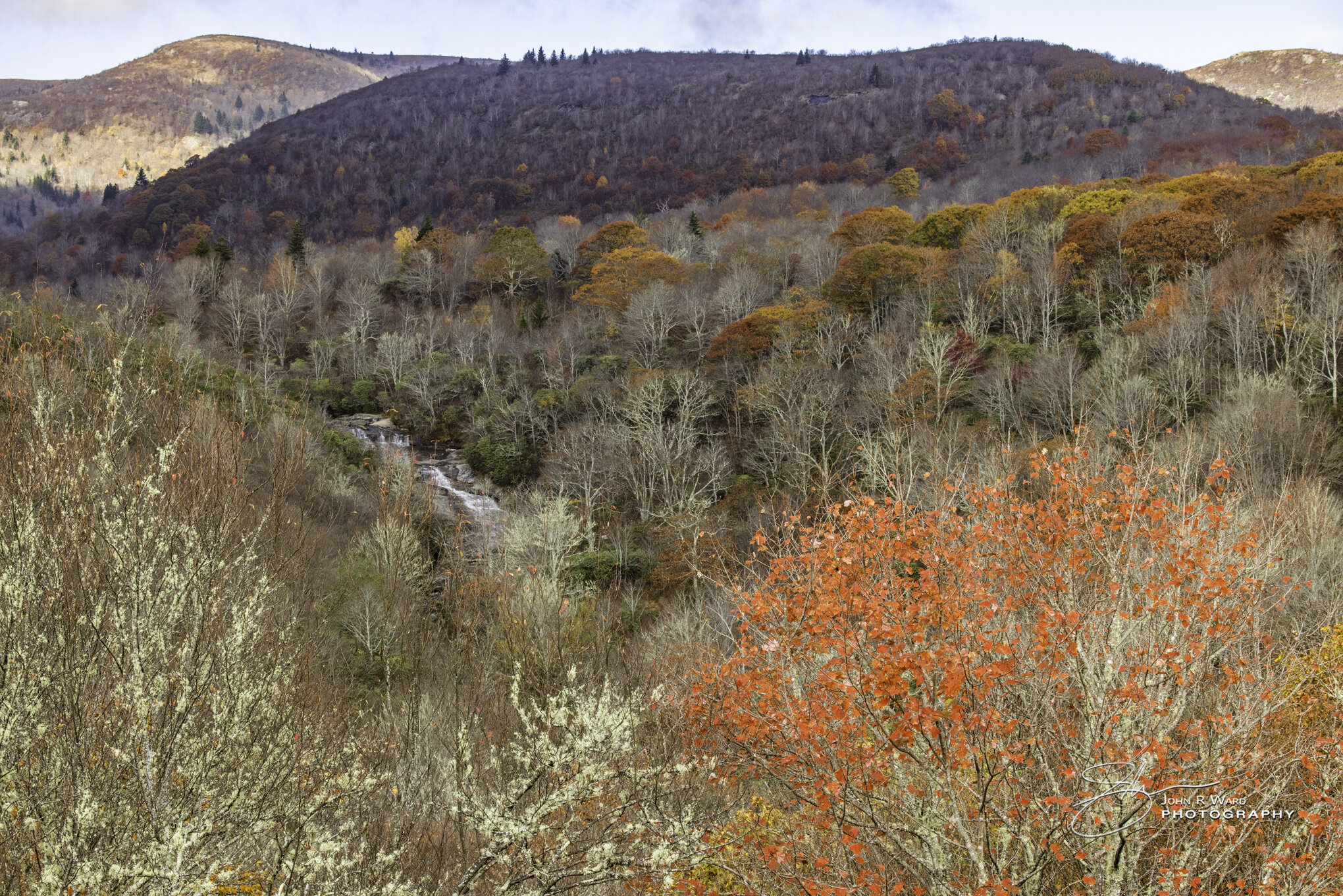 20201022-NC Fall Color R5-Canon EOS R5 - 0621.jpg