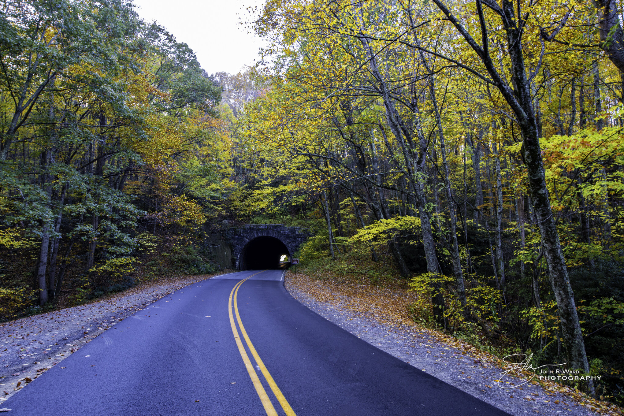 20201022-NC Fall Color-Canon EOS R - 3113-Edit.jpg