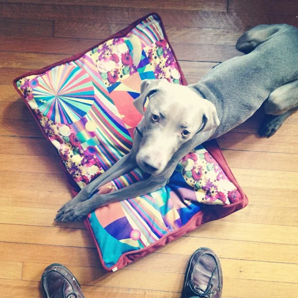 Bed design for Hachi Supply