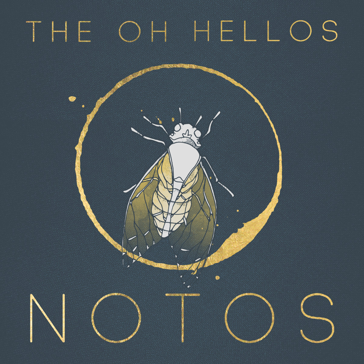 The oh hellos. The Oh hellos альбомы. The Oh hellos о группе. The Oh hellos Венти.