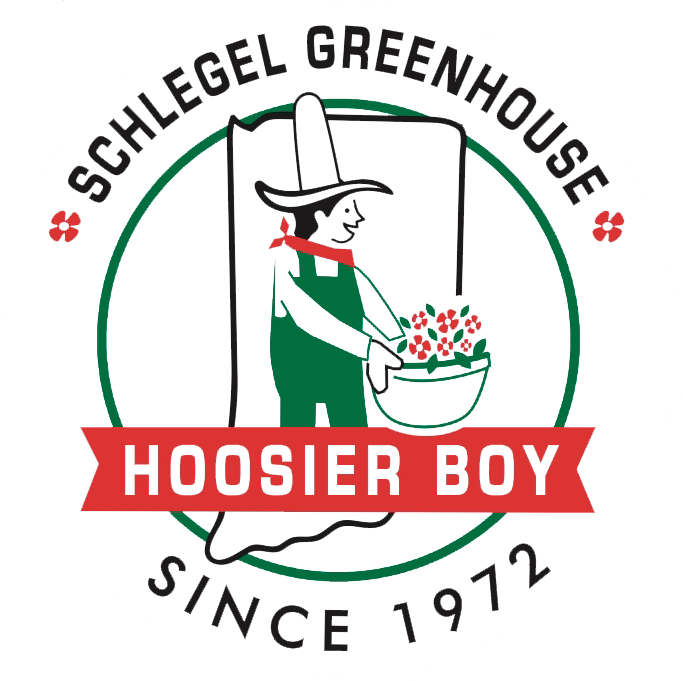 hoosier boy logo.png