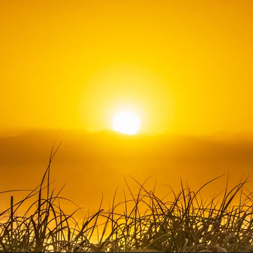 sunrise500.jpg