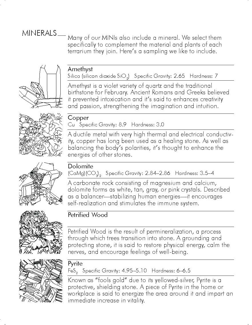 Plant-In City_Brochure-2nd Edition (4)_Page_05.jpg