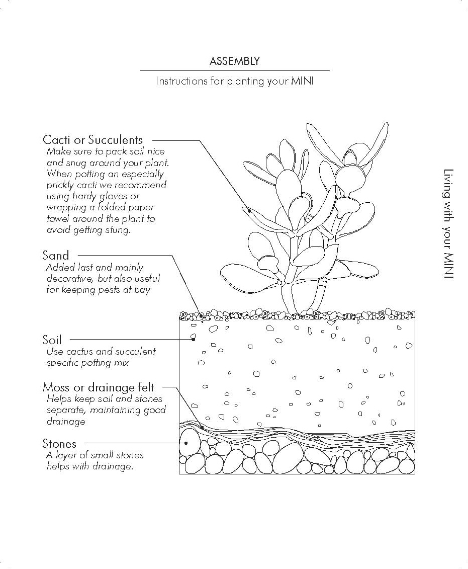 Plant-In MINI-care instructions-FINAL_Page_1.jpg