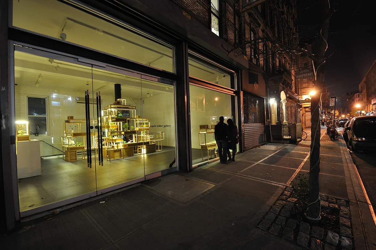 21st Century Terrariums , Mark Miller Gallery, New York City January 2013 - ( Plant-in City/Solo)