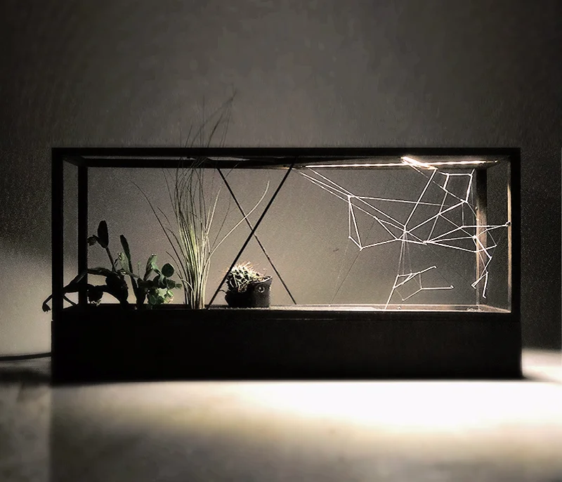 Lowline Edition: Mad Scientist