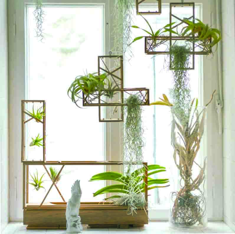 freunde-von-freunden-shop-plants-in-the-city-MOD.jpg