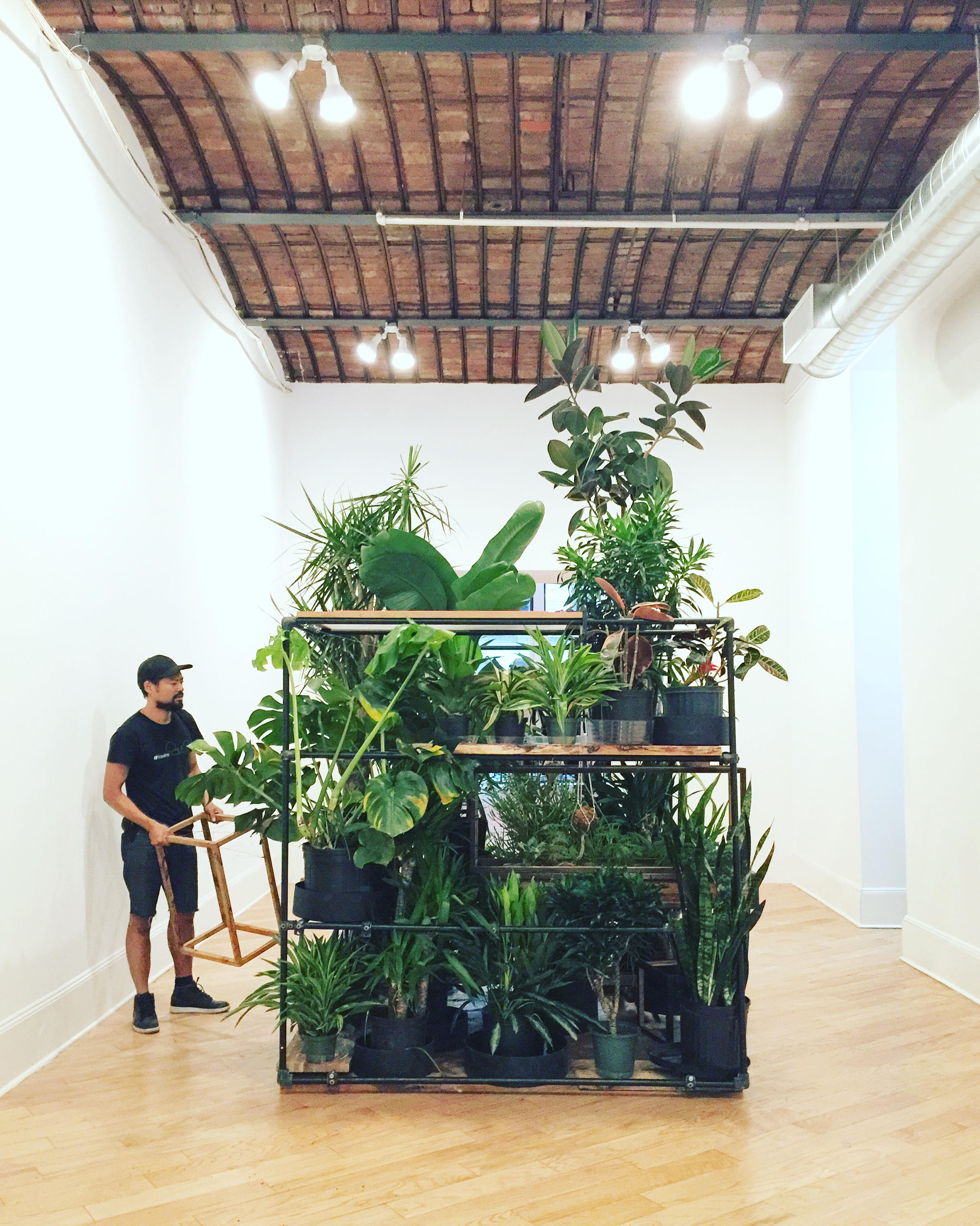 Pop Up Jungle Gym
