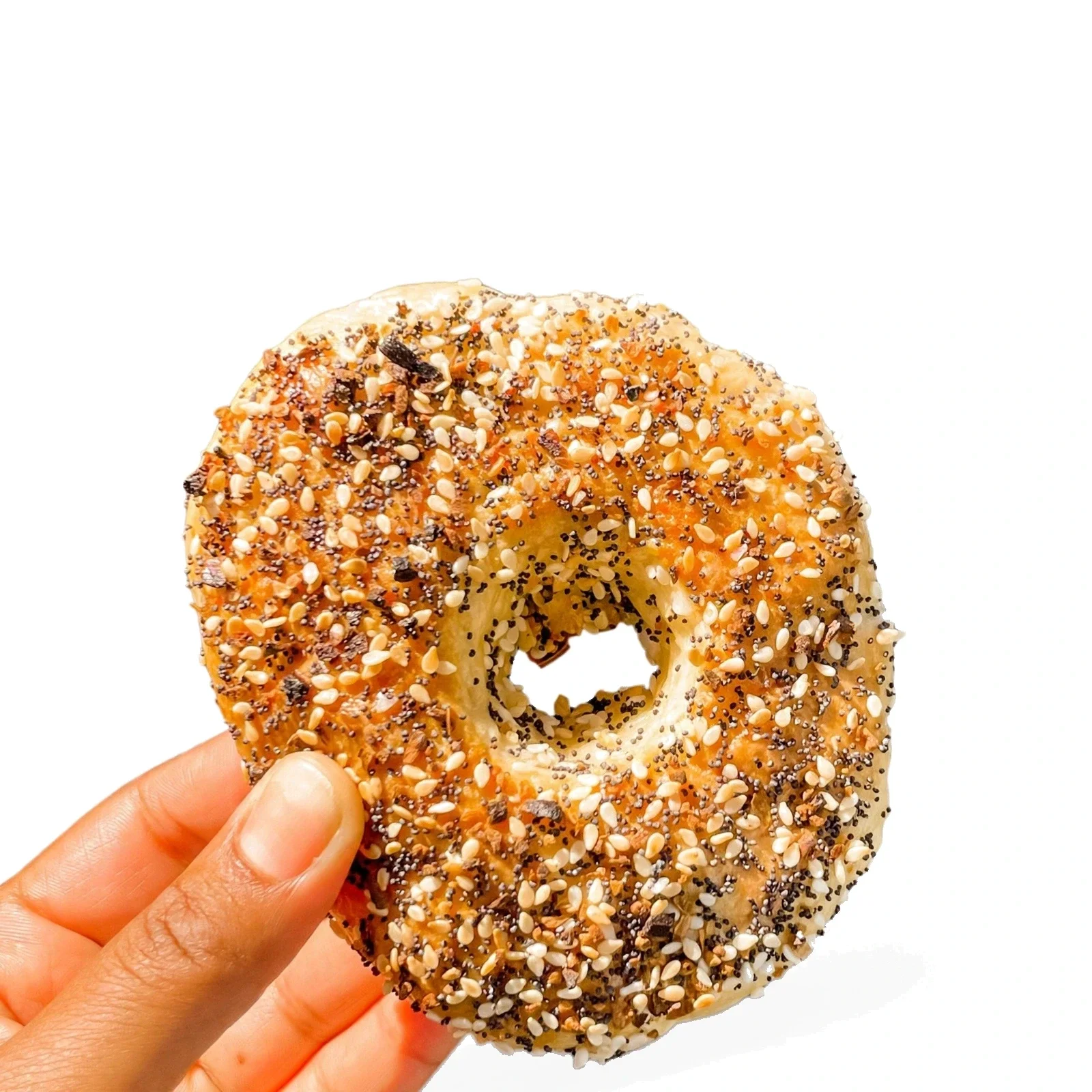 gluten-free-bagel-4-packs__almost_everything__whitebg.webp