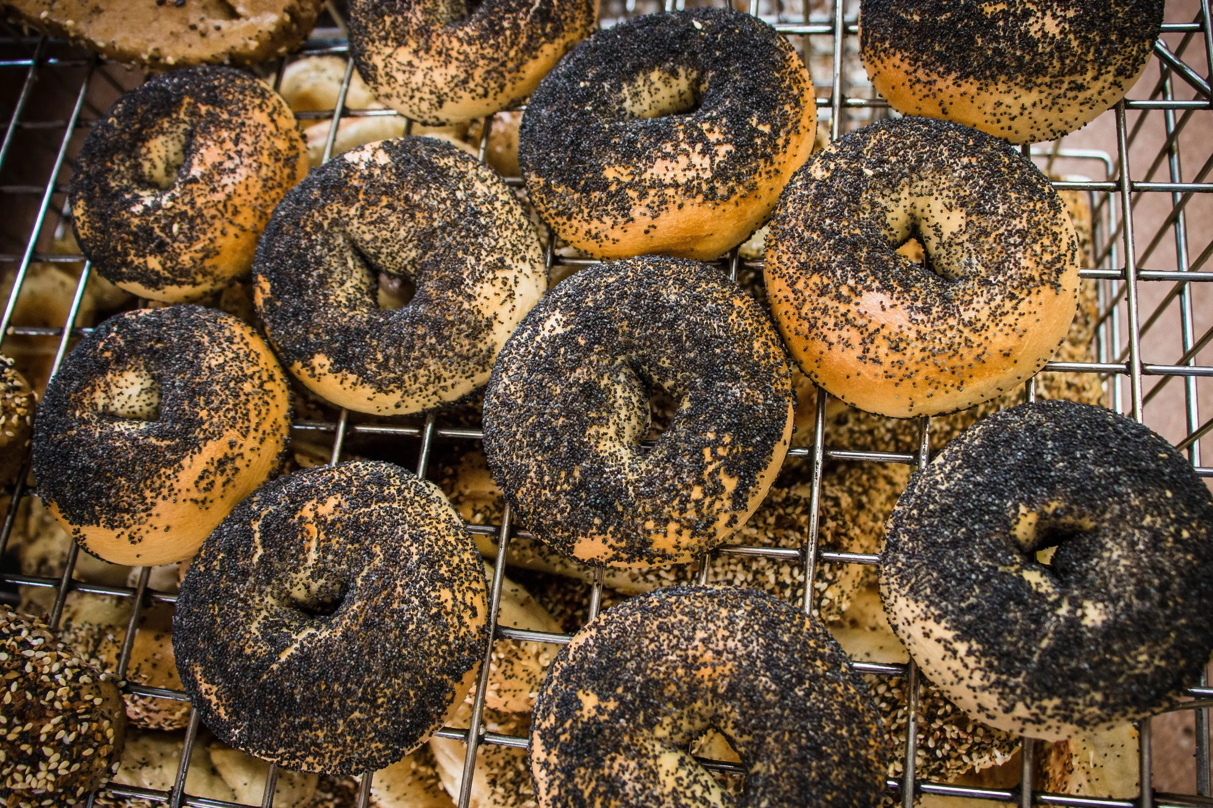 bagels.jpg