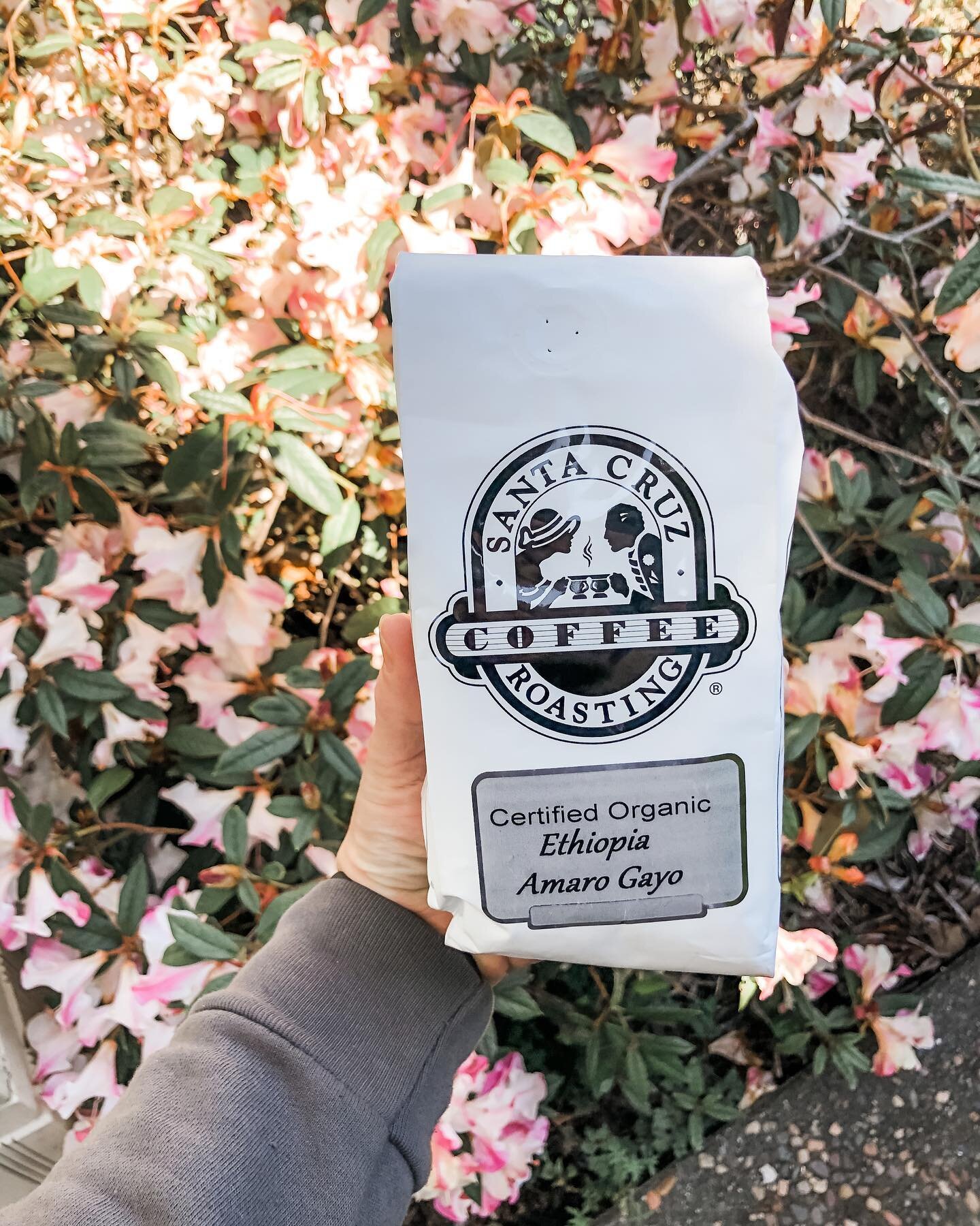 In honor of Women&rsquo;s History Month we are so excited to be serving Santa Cruz Coffee&rsquo;s Ethiopian Amaro Gayo light roast Coffee.  With fruit forward flavors of blackberry and blueberry,  and complex acidity this delicious light roast coffee