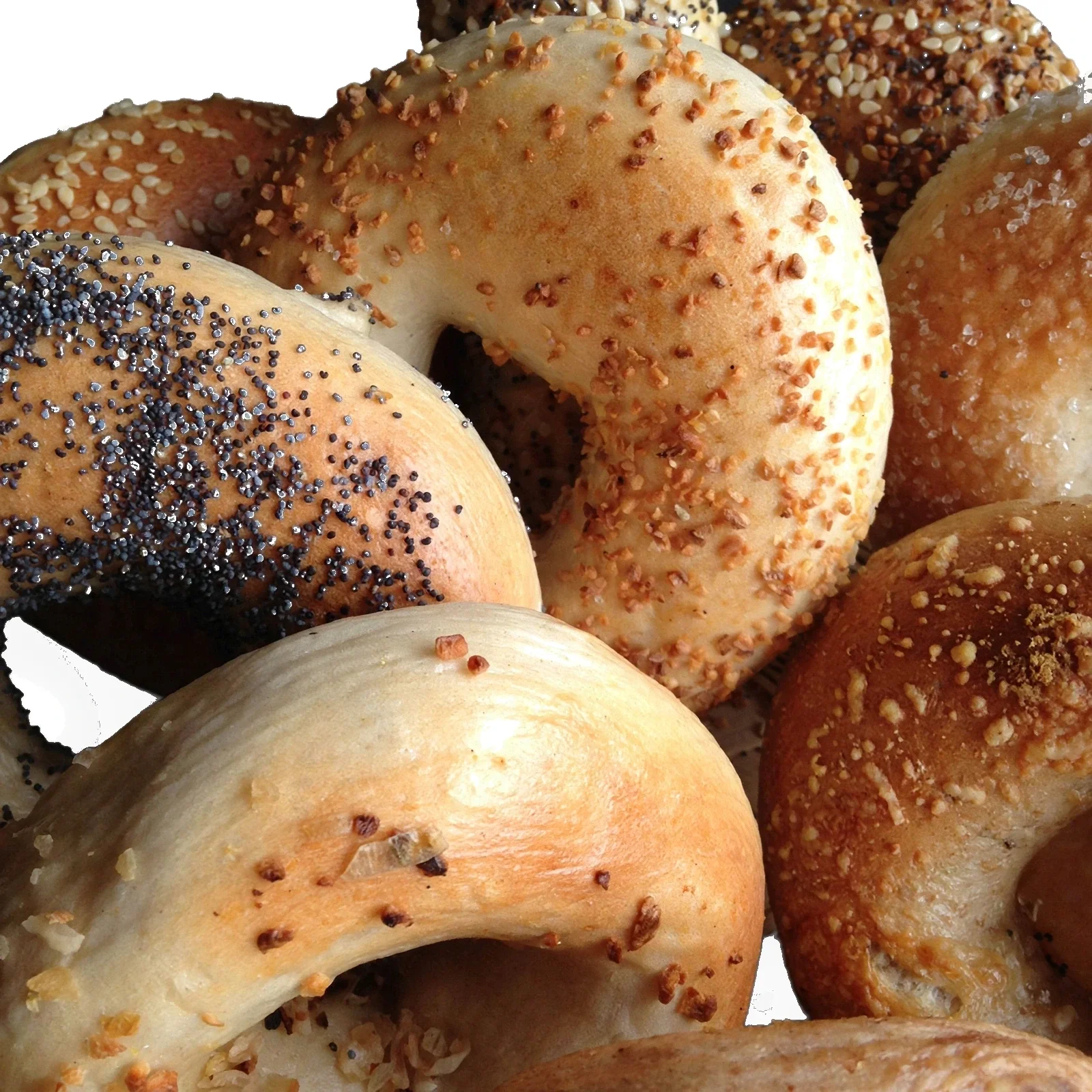 Baker’s Dozen