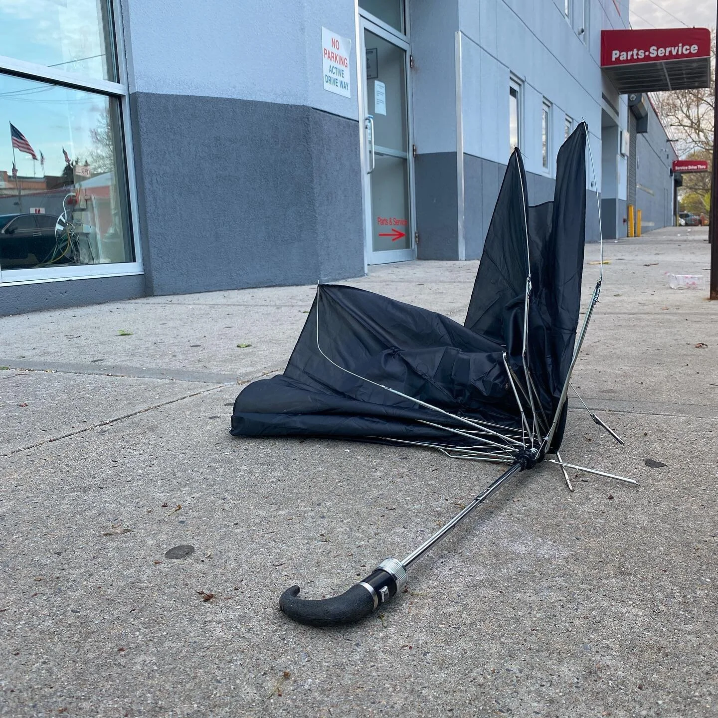 Please step 6&rsquo; back, sir.
.
.
.
.
.
#deadbrella #death #rip #umbrella #art #queens #jacksonheights #trash #broken #stayawayfool #causeloverules #attheloveshack