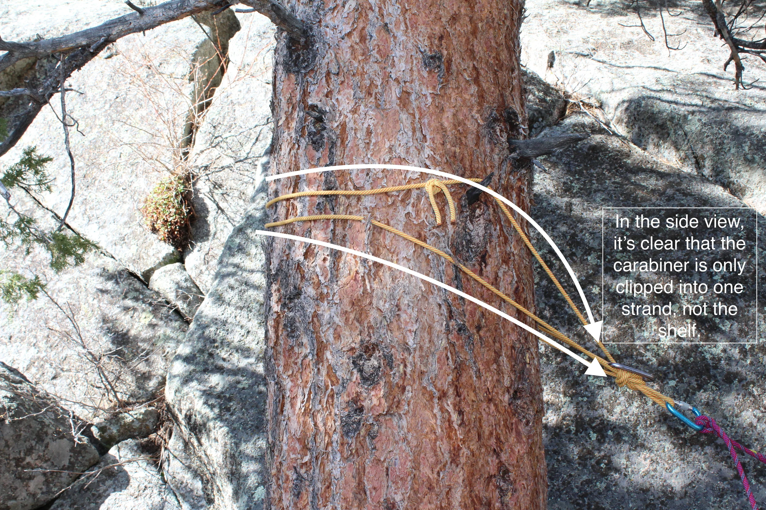 In profile, it becomes clear that the false shelf is only connecting to one of the two strands.