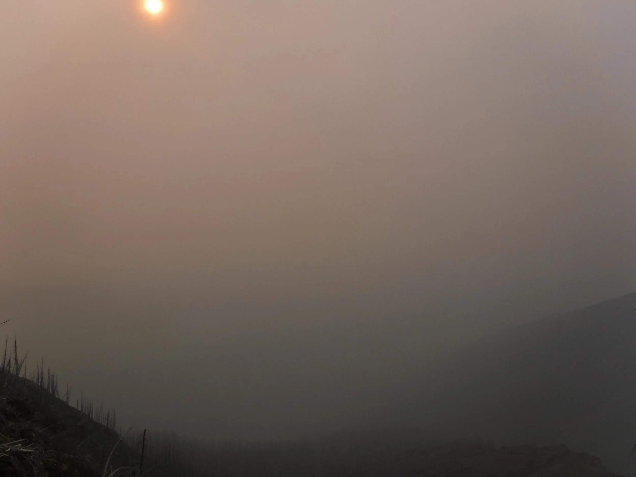 Fire in the alpine at the Bob Marshall Wilderness Compex, MT in 2012 