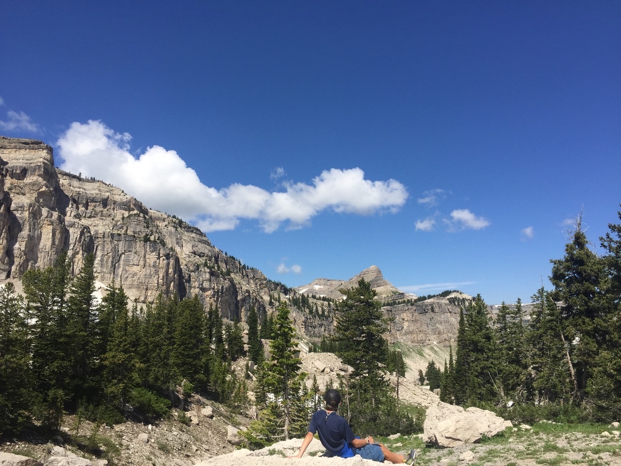 Anya Tyson 2017 Research Grant Recipient The Clark's Nutcracker Project: Engaging young adventurers in citizen science. The whitebark pine is a high-elevation tree entirely dependent upon the Clark's nutcracker to disperse its seeds, and this tree species has suffered greatly from an invasive fungus and a native bark beetle. This research utilized the observation powers of young adventurers to collect data on whitebark pine and Clark's nutcrackers during wilderness expeditions across four remote mountain ranges in Wyoming and Montana. Read more here.