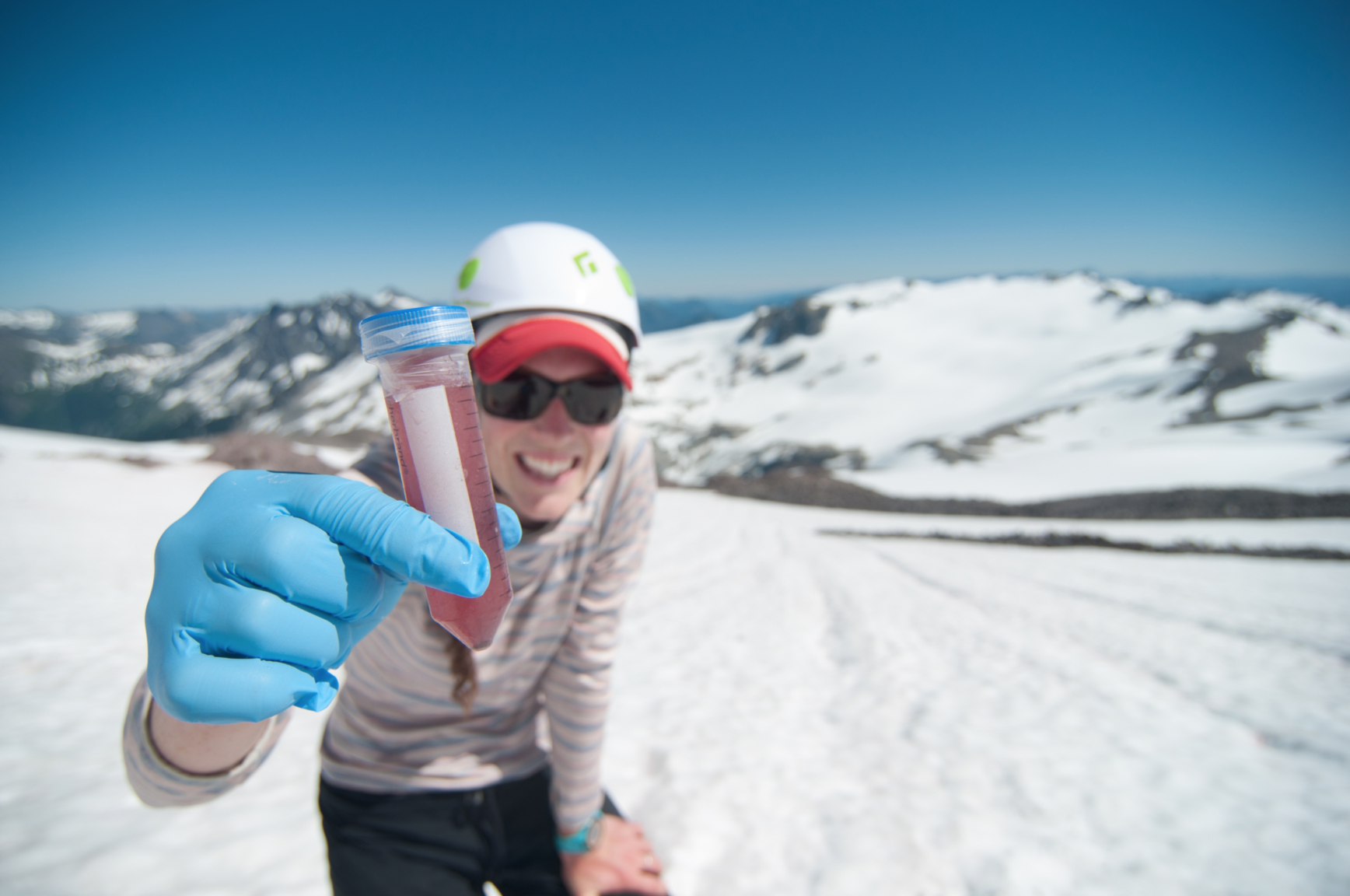 2017 Research Grant Recipient Rachael Mallon collects a sample on the Gerdine Glacier while studying the biogeography of snow algae communities.