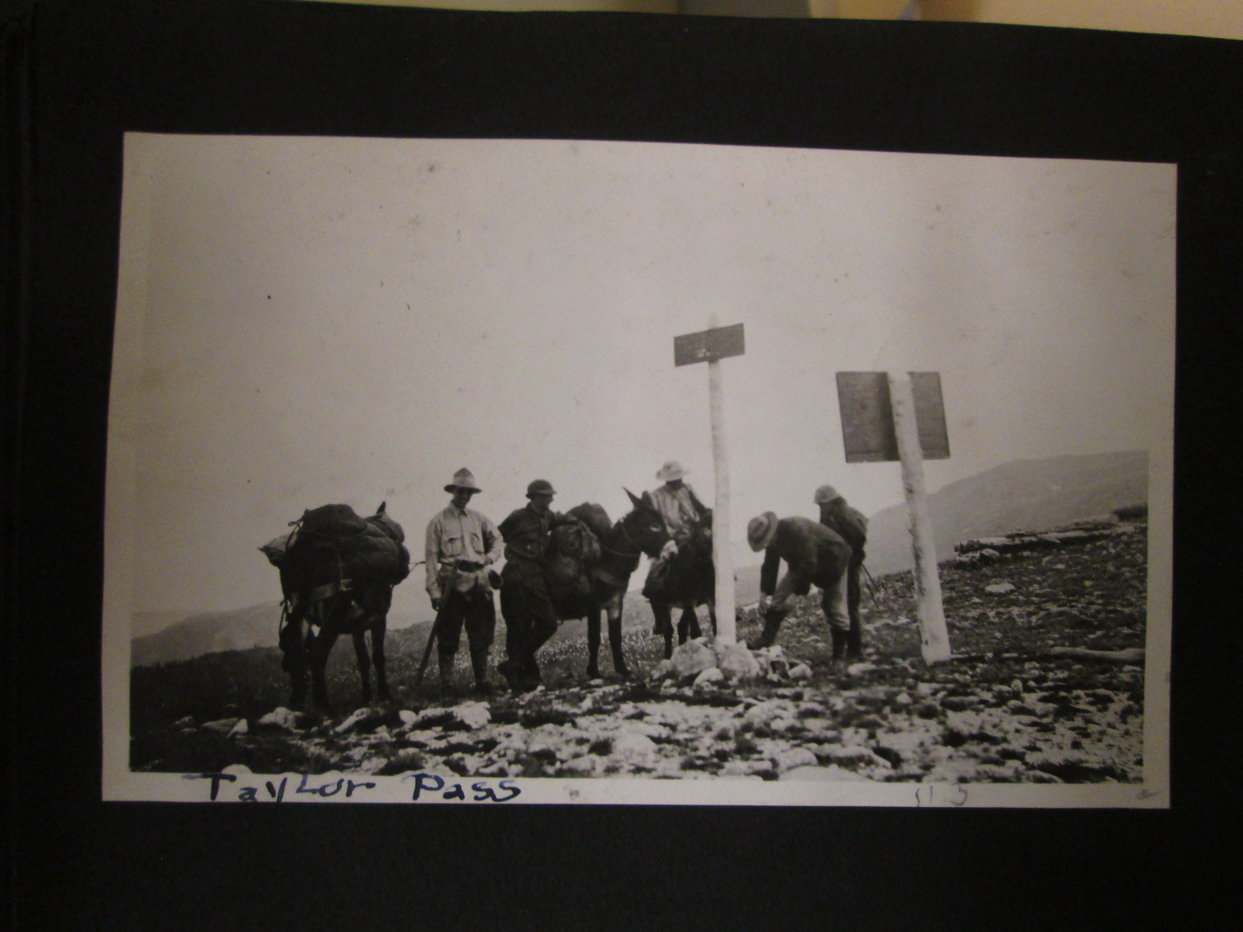 Taylor Pass