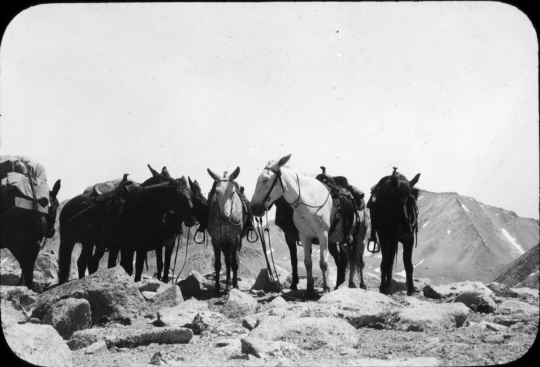 AAC Lantern Slide Collection