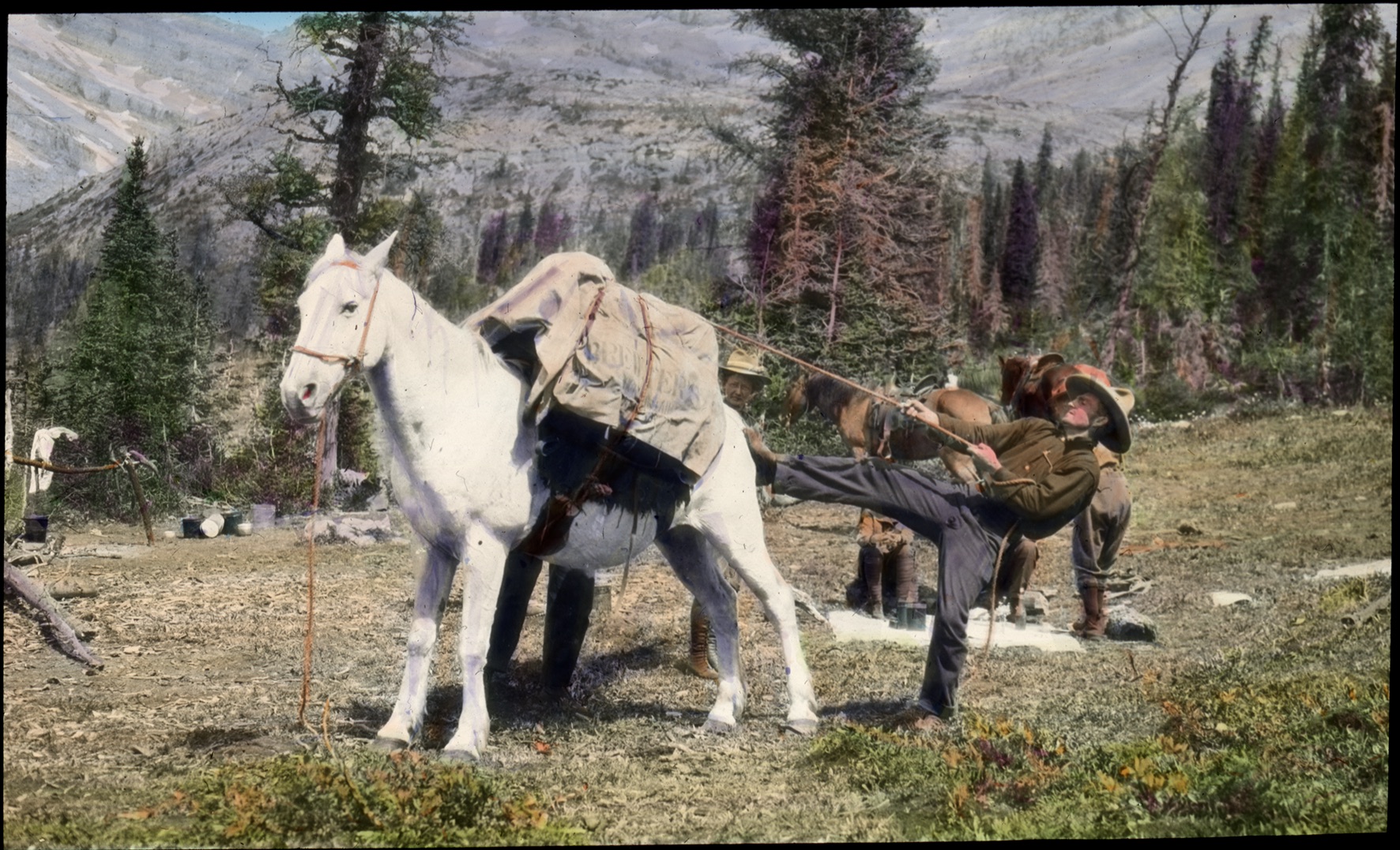 AAC Lantern Slide Collection