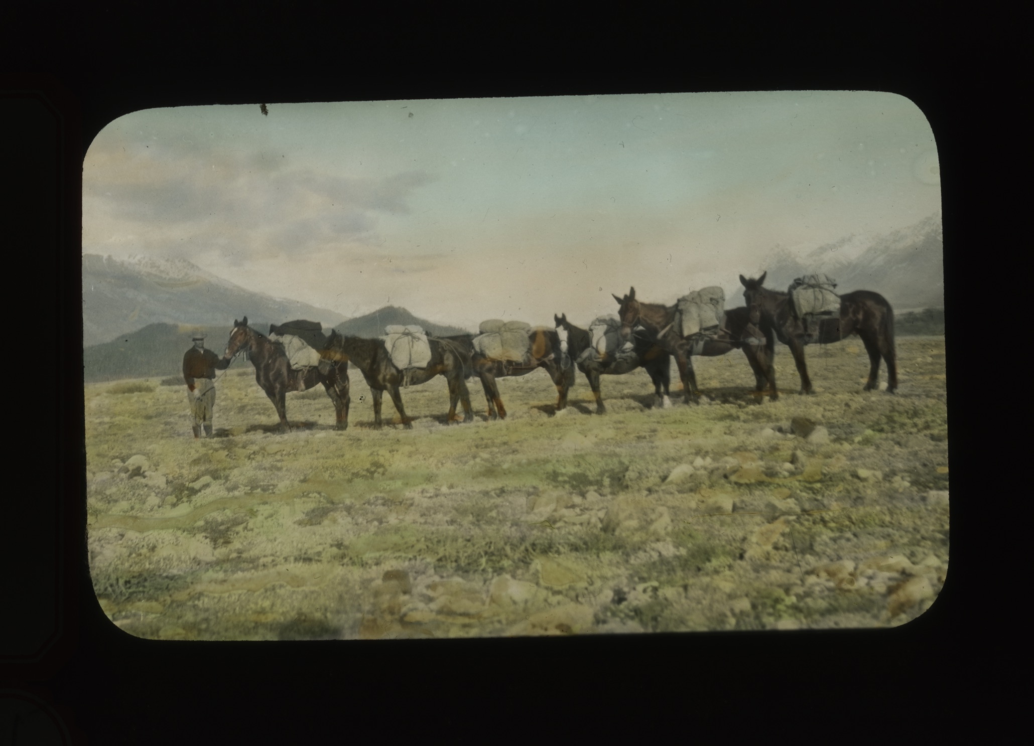 AAC Lantern Slide Collection