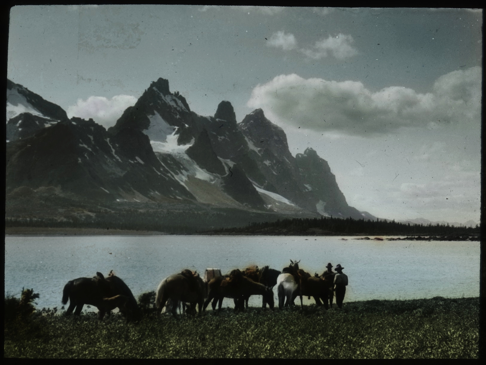AAC Lantern Slide Collection