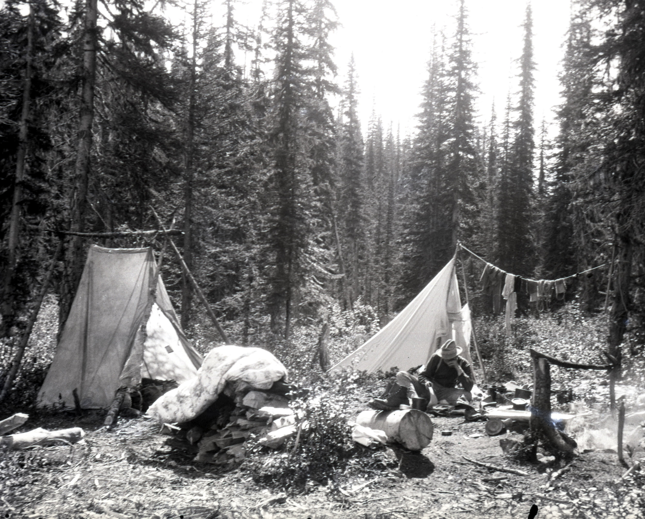  Camp in the woods - it was common to use small trees and logs as tent poles 
