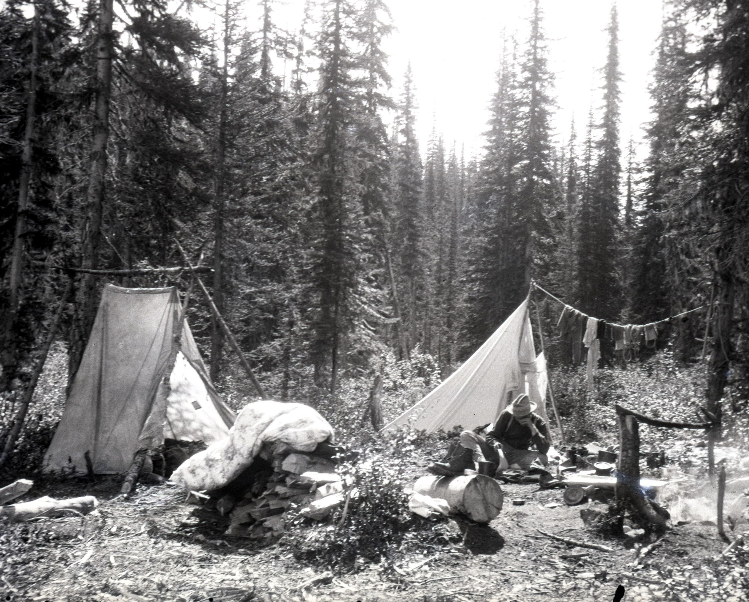 Camp in the woods - it was common to use small trees and logs as tent poles