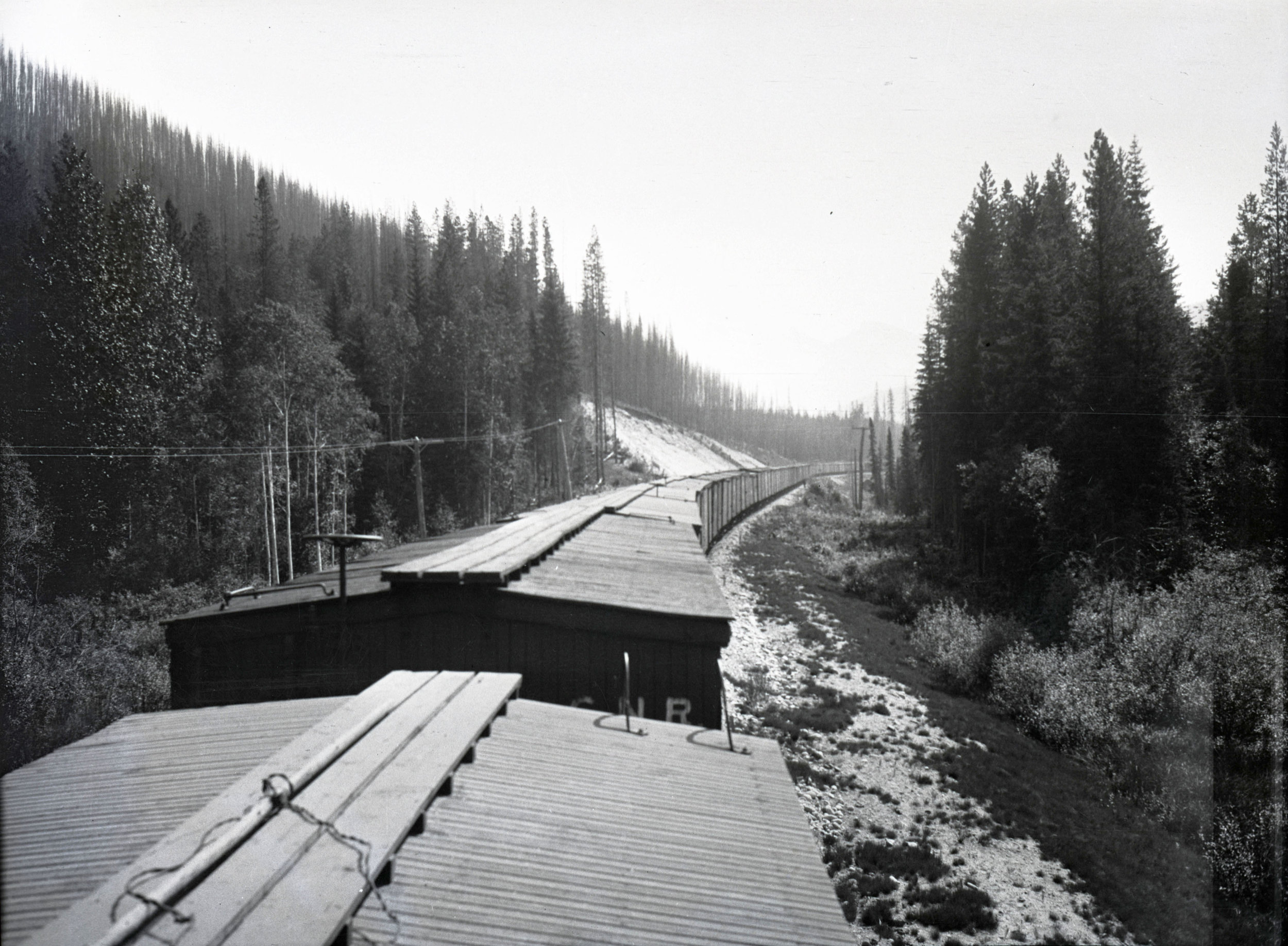  A photo taken from the roof of a train car 