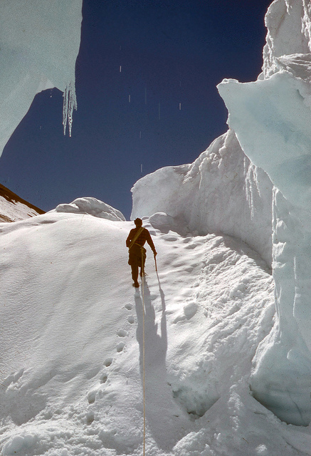  Threading our way from Base Camp to Intermediate Camp. 