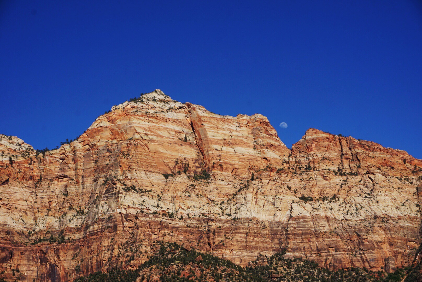 Moon Rising over Zion National Park, UT. Photo Credit: Taylor Luneau.