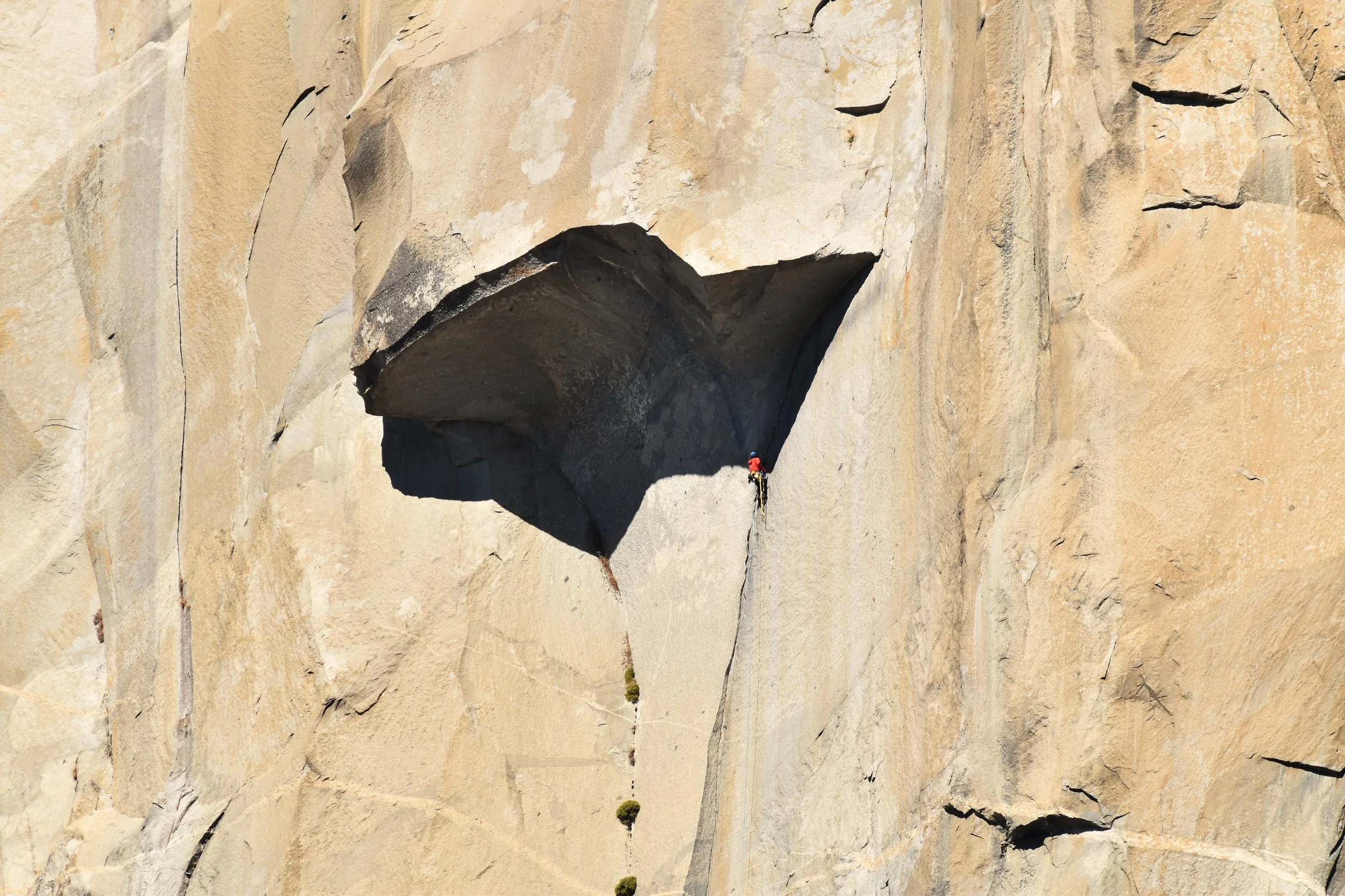 Mike and Zach climbing the Great Roof on the Nose of El Capitan. The next pitch, Pancake Flake, is just above the right side of the roof. Photo by Tom Evans / El Cap Report.