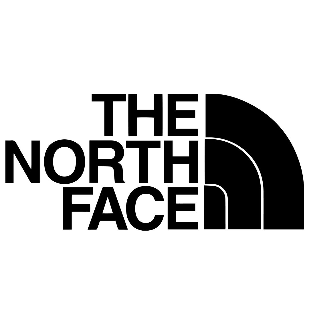The North Face.jpg