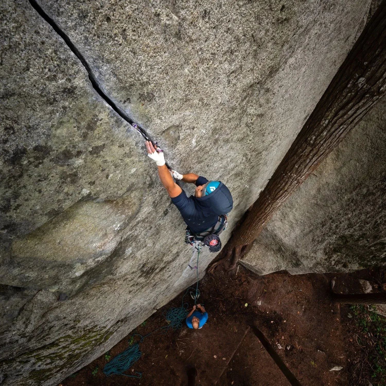 Guidebook XVI—AAC Updates