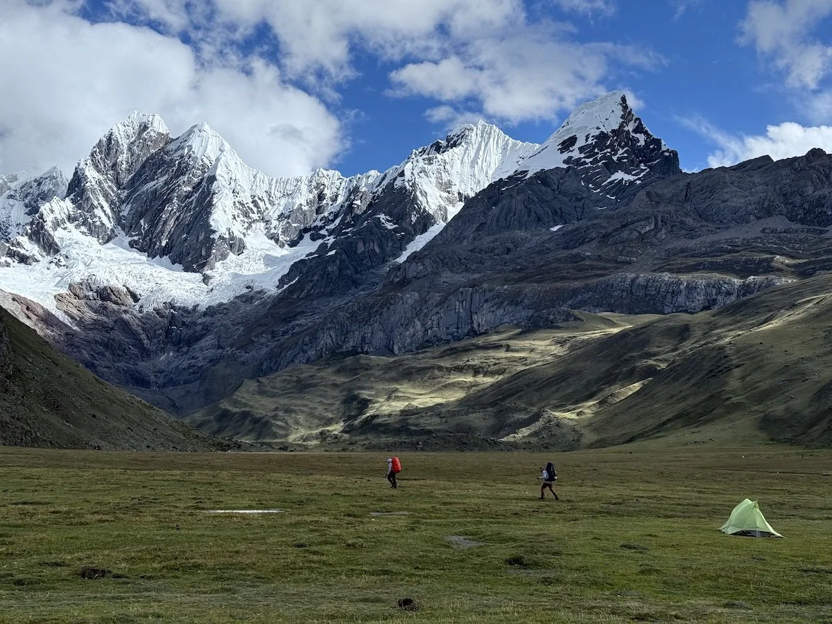 Regulatory framework design and implementation