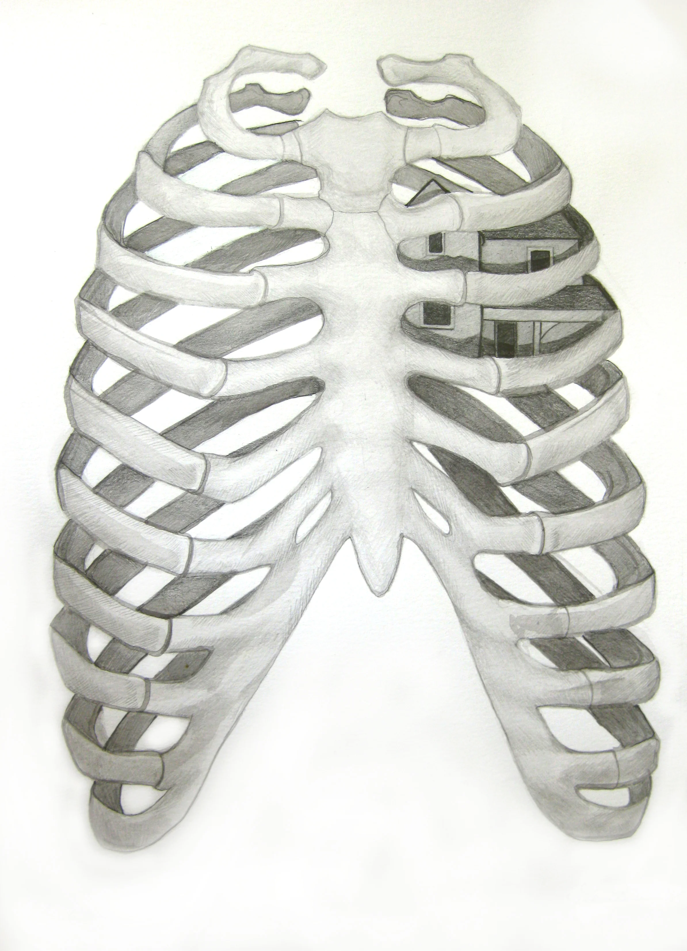 ribcagehome.jpg