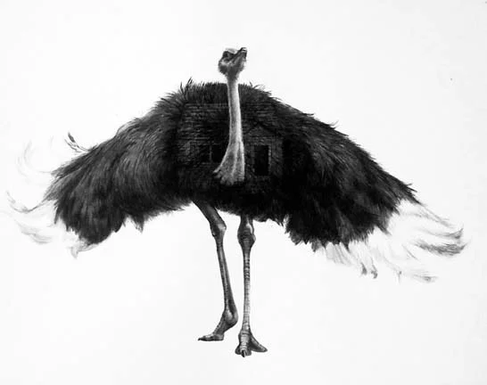 ostrich.jpg