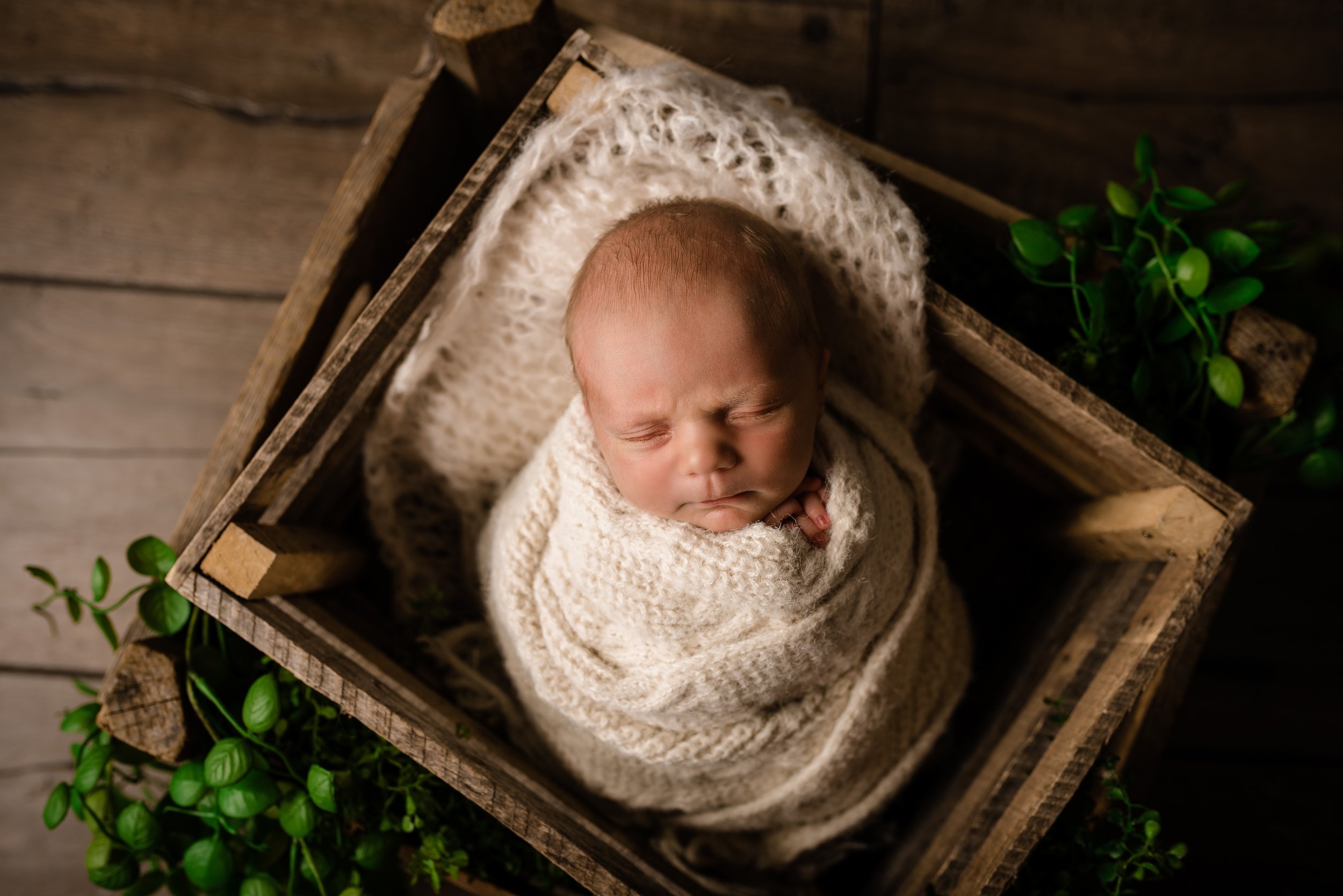 Pekin-Peoria-Springfield-Illinois-Newborn-Photographer-29.jpg