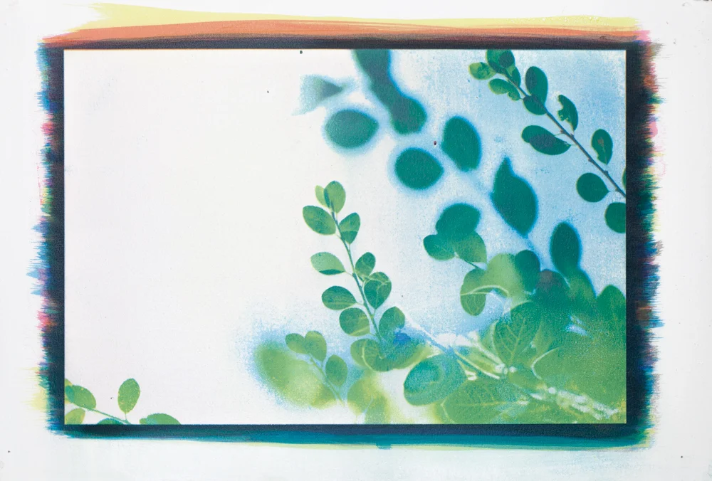 Between the Leaves, No. 18